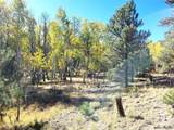 #2 County Road 12 - Photo 4
