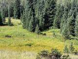 Lot 3141 Forbes Loop Road - Photo 1