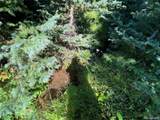 Lot 3141 Forbes Loop Road - Photo 11