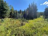 Lot 3141 Forbes Loop Road - Photo 13
