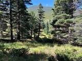Lot 3141 Forbes Loop Road - Photo 3