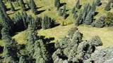 Lot 3141 Forbes Loop Road - Photo 21