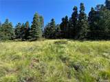 Lot 3141 Forbes Loop Road - Photo 5