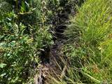 Lot 3141 Forbes Loop Road - Photo 8