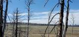 2398 Petito Drive - Photo 14