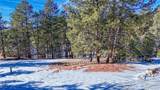 79 Huntsman Circle - Photo 4