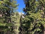 1081 Nuthatch Drive - Photo 33