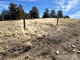 1931 Campfire Road - Photo 2