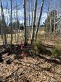 1931 Campfire Road - Photo 14