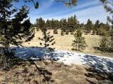 1931 Campfire Road - Photo 28