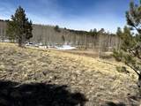 1931 Campfire Road - Photo 29