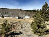 1931 Campfire Road - Photo 30