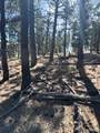 1931 Campfire Road - Photo 4