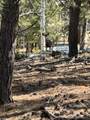 1931 Campfire Road - Photo 5