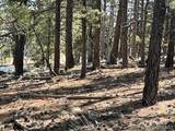 1931 Campfire Road - Photo 7