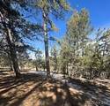 1931 Campfire Road - Photo 9