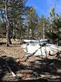 1931 Campfire Road - Photo 10