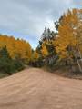 234 Wasatch Lane - Photo 44