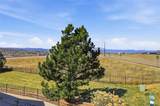 488 Black Feather Loop - Photo 27
