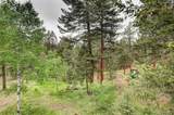 9209 William Cody Drive - Photo 48