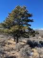 Lot 4875 Durante Road - Photo 14