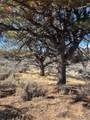 Lot 4875 Durante Road - Photo 15