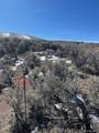 Lot 4875 Durante Road - Photo 9