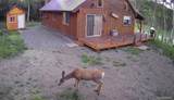 2876 Fery Loop - Photo 5