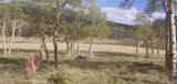 2876 Fery Loop - Photo 8