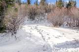 Lot 4 Bear Lane - Photo 15