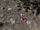 199 Twin Peaks Drive - Photo 13