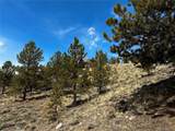 199 Twin Peaks Drive - Photo 5