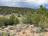 Lot 7840 Richard Road - Photo 9