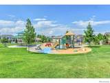 1281 Single Tree Lane - Photo 41