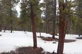  Aspen Turn - Photo 11