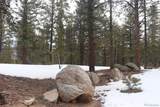  Aspen Turn - Photo 5