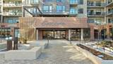 20 Wilcox Street - Photo 1