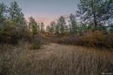 11011 Sunset Oaks Place - Photo 14