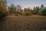 11011 Sunset Oaks Place - Photo 15