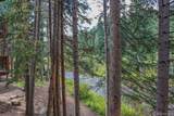 805 Columbine Road - Photo 28