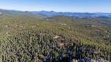 30894 Forest Shadow Trail - Photo 14