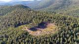 30894 Forest Shadow Trail - Photo 16