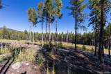 30894 Forest Shadow Trail - Photo 3