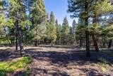 30894 Forest Shadow Trail - Photo 4