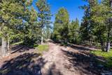 30894 Forest Shadow Trail - Photo 5