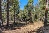 30894 Forest Shadow Trail - Photo 6