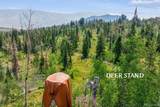 733 Spring Creek Ranch Road - Photo 9