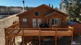 1257 Chippewa Road - Photo 1