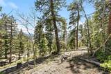 11618 Nichols Way - Photo 16