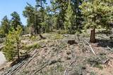 11618 Nichols Way - Photo 24